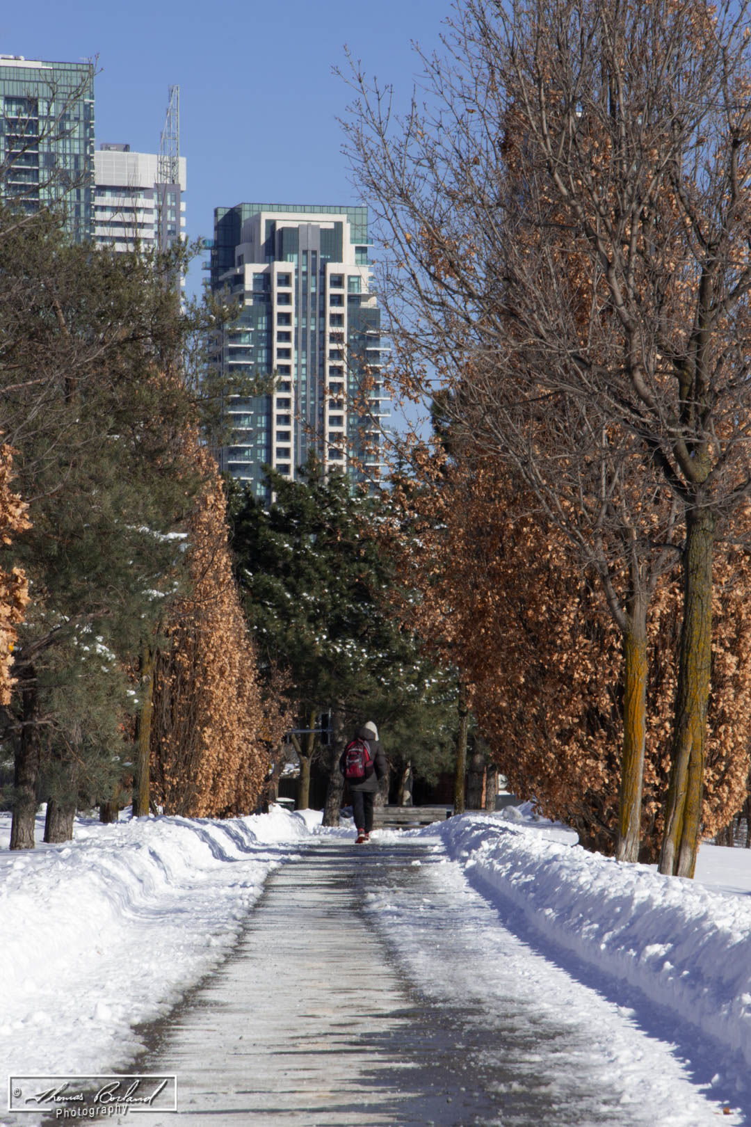 Walking in a winter wonderland